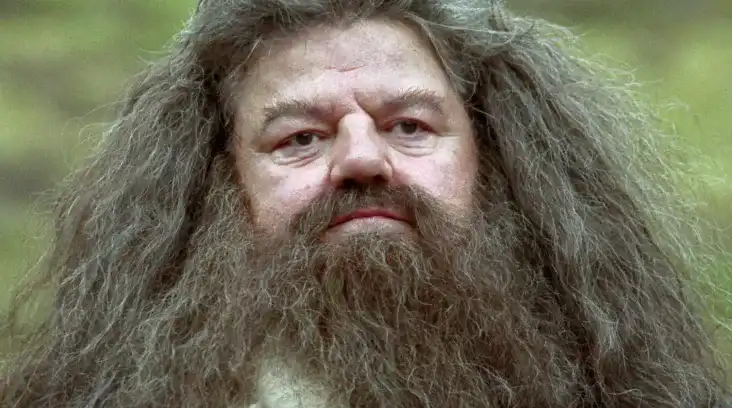 visage de Hagrid