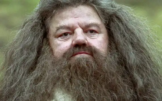 image de Hagrid